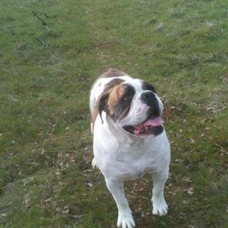 photo of Cheyenne S.