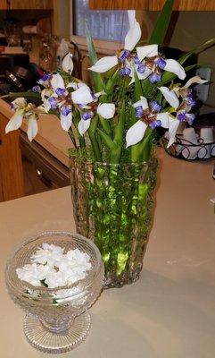 photo of Elizabeth M.