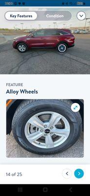 Photo of Letrinda L.