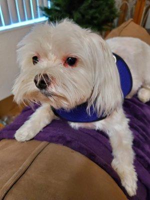 photo of Michelle K.