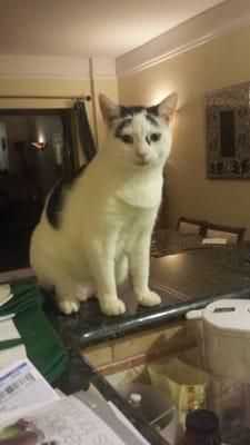 photo of Christine M.