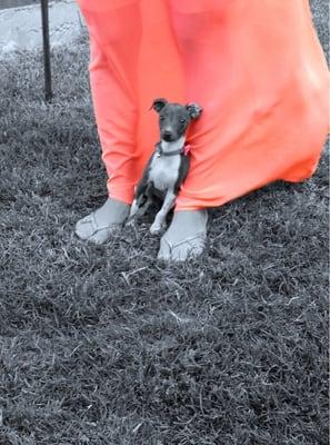 photo of Stephanie W.