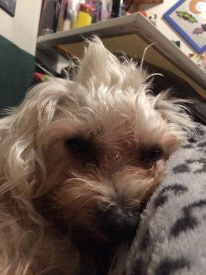 photo of Stephanie S.