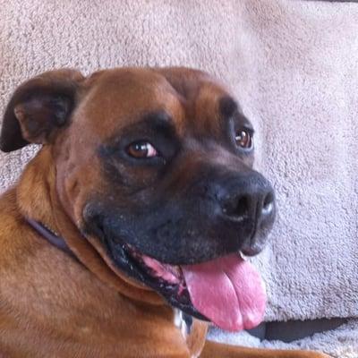 photo of Stephanie E.