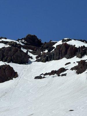 Photo of Alexandra N.