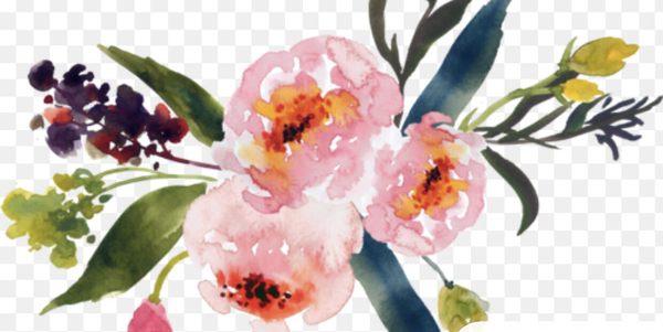 photo of Kathrine B.