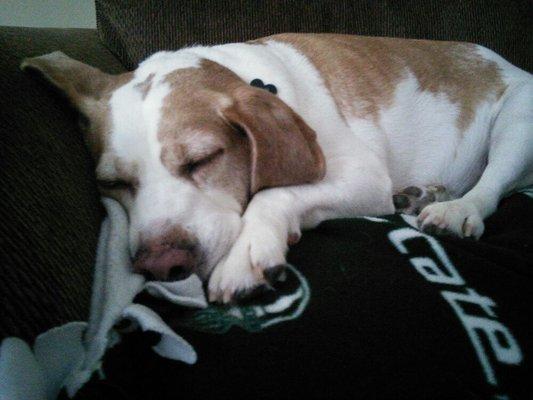 photo of Brittany T.