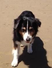 photo of Danielle M.