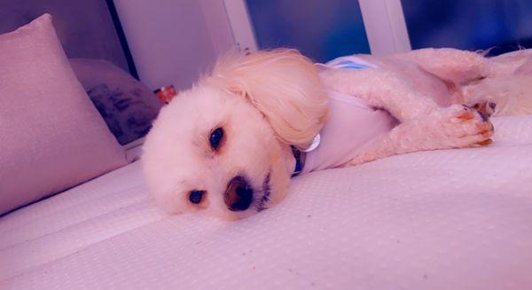 Photo of Cash S.