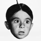 photo of Al S.