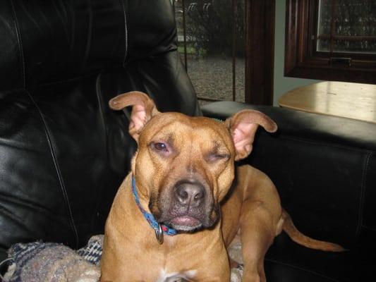 photo of Virginia L.