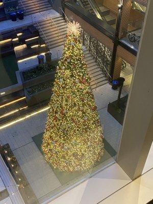 photo of Mashayla J.