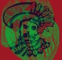 photo of Emmanuel V.