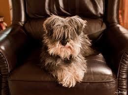 photo of StormyDawn J.