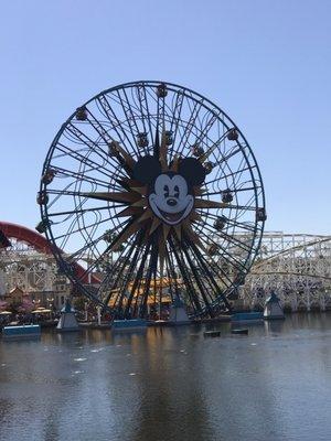 photo of Michelle F.