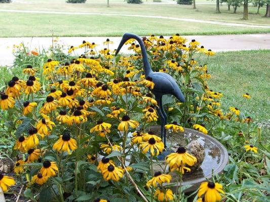 photo of Christine R.