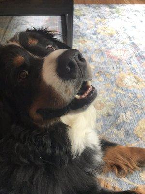 photo of Samantha C.