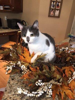 Photo of Michelle W.