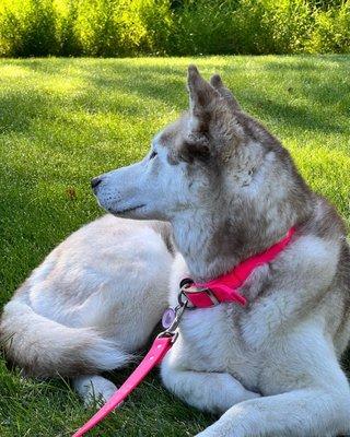 photo of Tiffany Elyse H.