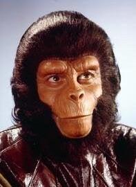 Photo of Steve T.