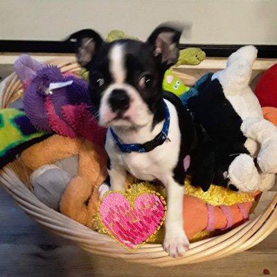 photo of Stephanie D.