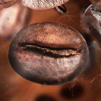 photo of That Coffee Page ..