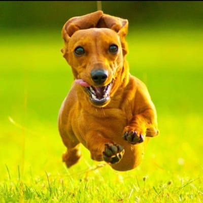 Photo of Jennifer T.