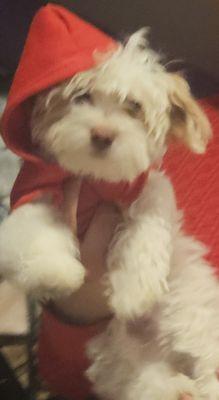 photo of Christine G.