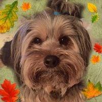 Photo of Teresita L.