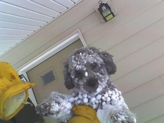 photo of elizabeth s.