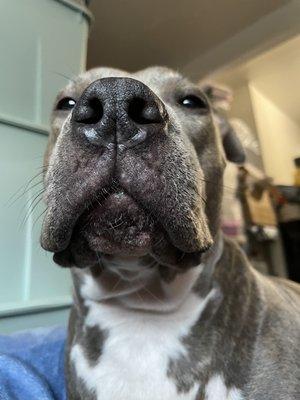 photo of Marielen G.