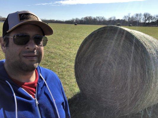 Photo of Mike D.