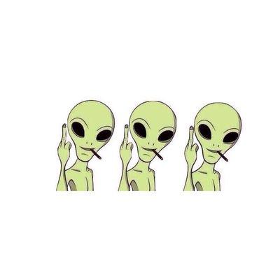 photo of Stephanie M.