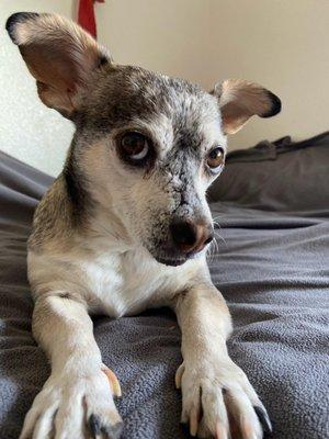 photo of Kristina F.