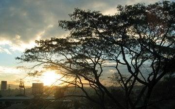 Photo of Jose Alejandro Fortes C.