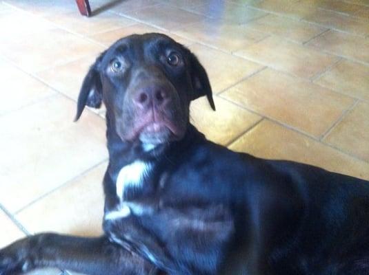 photo of Danielle C.