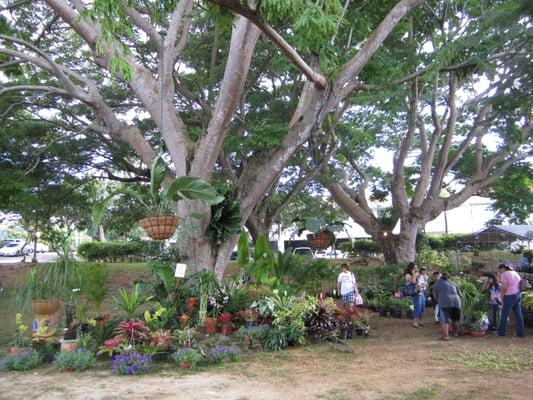 photo of Elizabeth H.