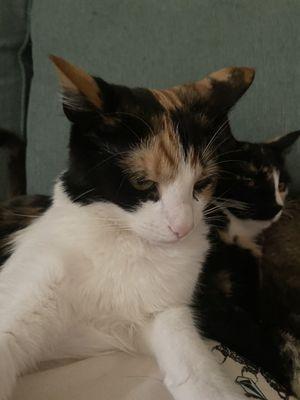 photo of Katherine C.
