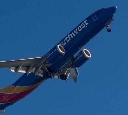 Photo of Feathered F.