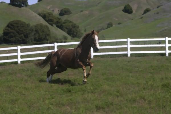 photo of Hossmoor A.