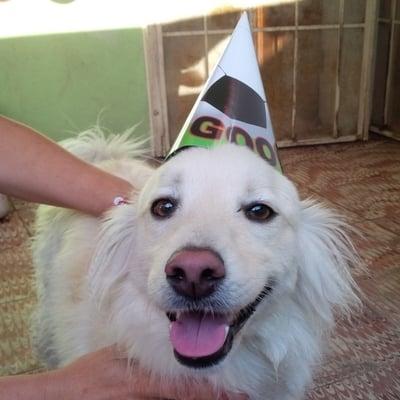 photo of Cristóbal S.