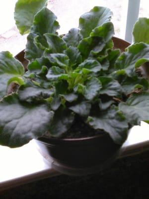 photo of Kimberly N.