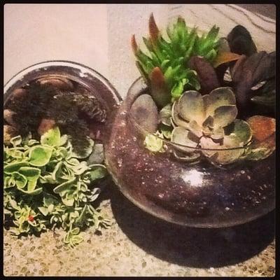 photo of Adrienne K.