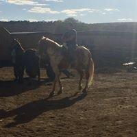 Photo of Fernando B.