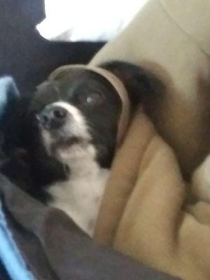 photo of Anonymous S.