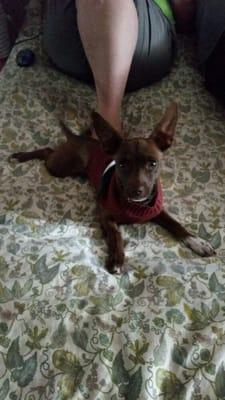 photo of Katherine D.