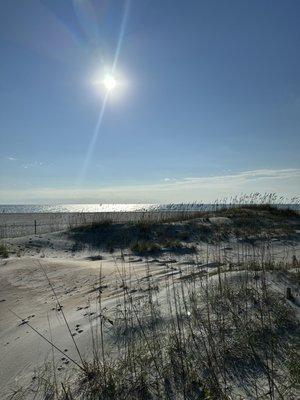 Photo of Southern L.