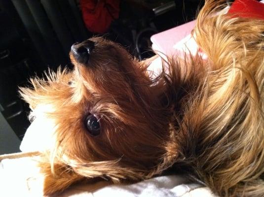 Photo of elayne s.