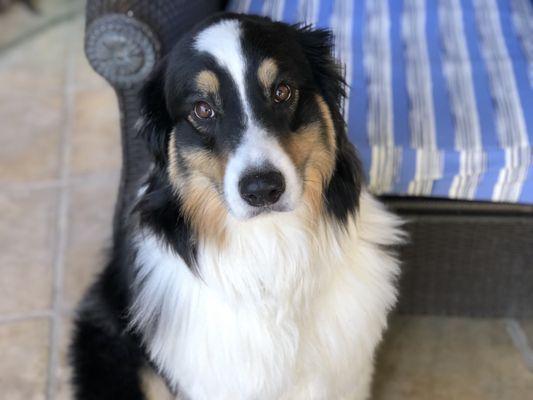 photo of Alexandra H.