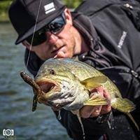Photo of Kevin J.
